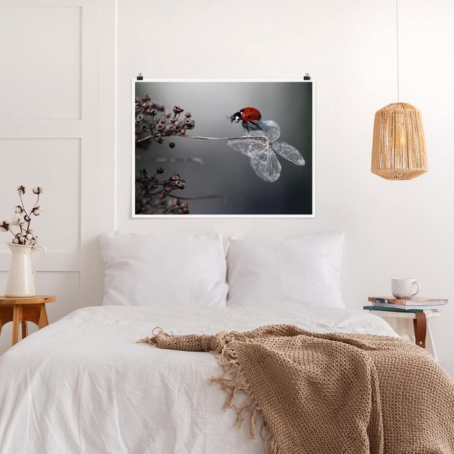 Obrazy nowoczesne Marybka na hortensji