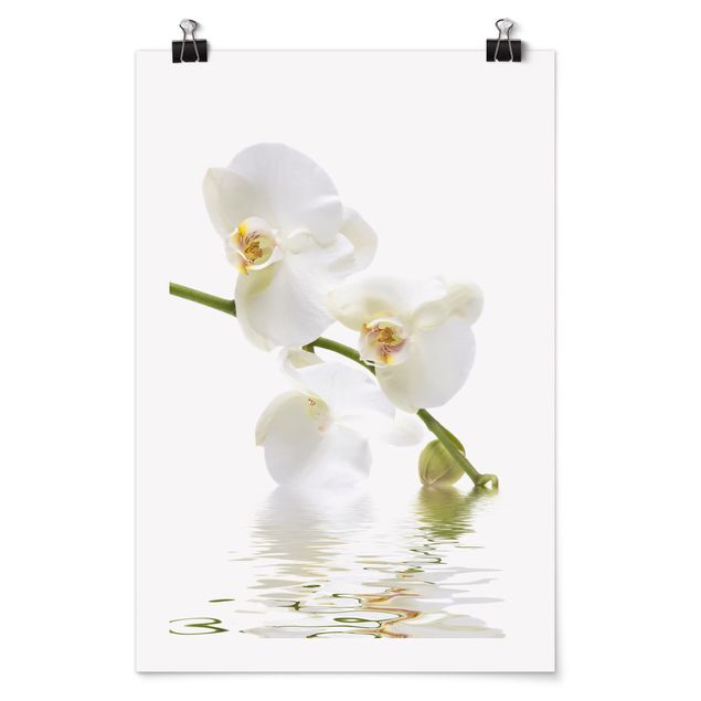 Obrazy nowoczesny Wody białej orchidei