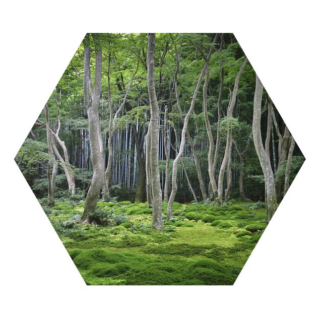 Obrazy na ścianę krajobrazy Las japoński