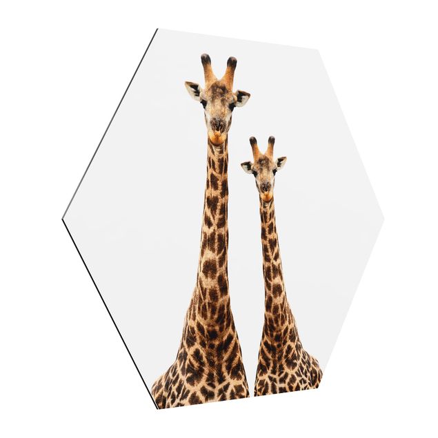 Obrazy zwierzęta Portait Dwie żyrafy
