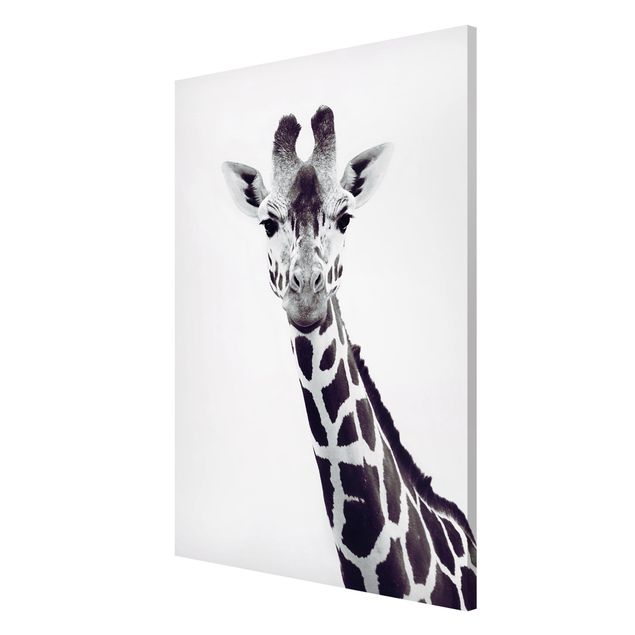 Obrazy nowoczesne Portret żyrafy w czerni i bieli