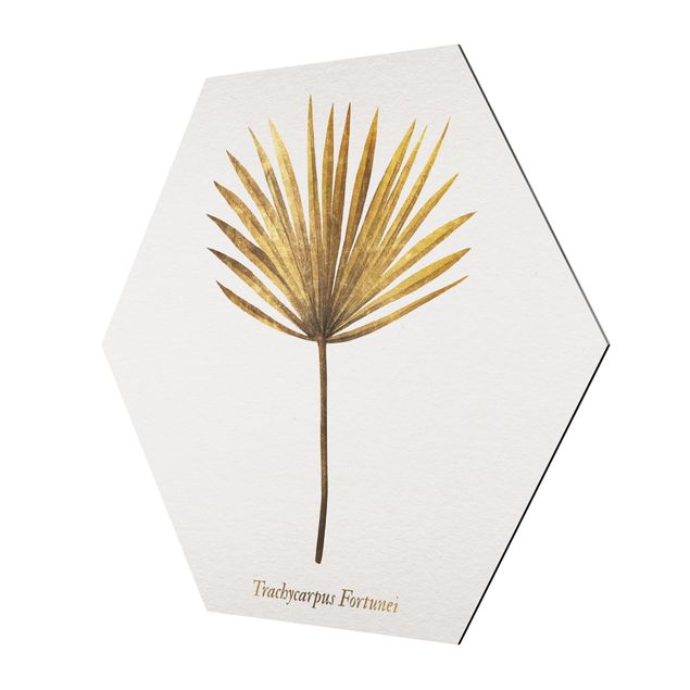 Obraz heksagonalny z Alu-Dibond - Złoto - liść palmy