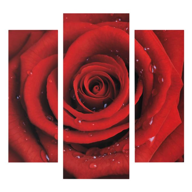Obraz z czerwonym motywem Róża czerwona z kroplami wody