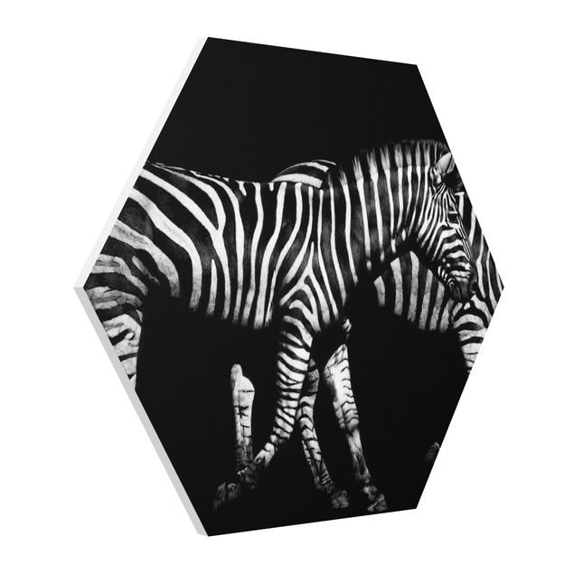 Obrazy zwierzęta Zebra przed Czarnym