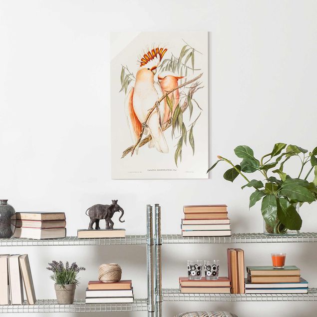 Obrazy na szkle portret Ilustracja w stylu vintage różowy kakadu