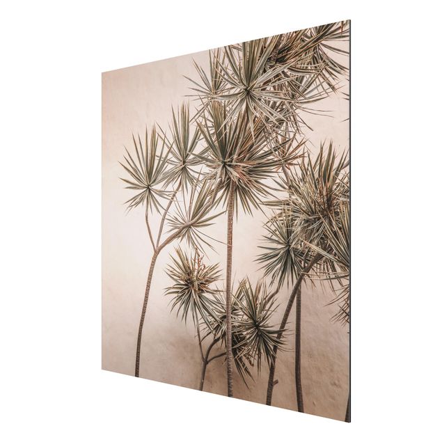 Obrazy nowoczesny Drzewa palmowe muśnięte słońcem