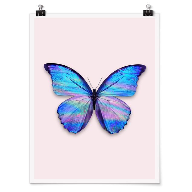 Obraz z motylem Holograficzny motyl