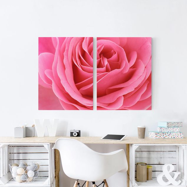 Obrazy do salonu nowoczesne Różowa róża pełna wdzięku