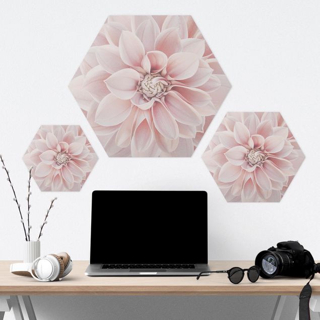 Obraz heksagonalny z Forex - Dahlia w kolorze pudrowego różu