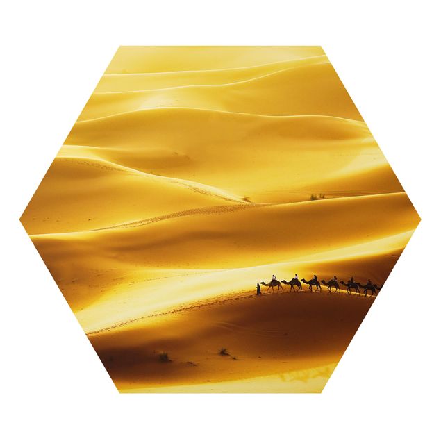 Zwierzęta obrazy Złotoen Dunes