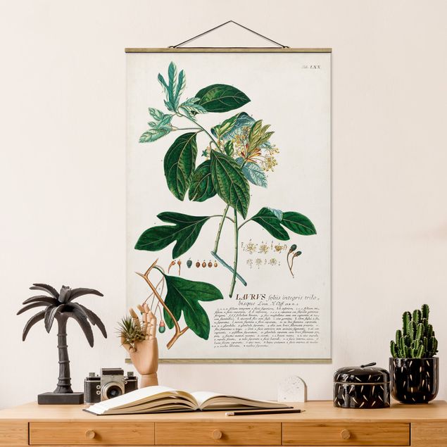 Dekoracja do kuchni Vintage Botanika Ilustracja Laurel