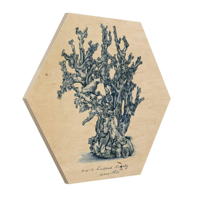 Obraz heksagonalny z drewna - Badanie koralowców morskich II