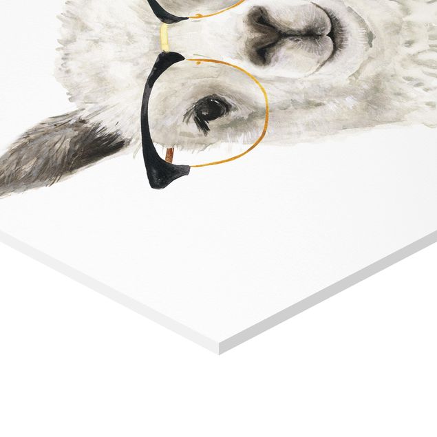 Obraz heksagonalny z Forex - Hippy Llama w okularach I