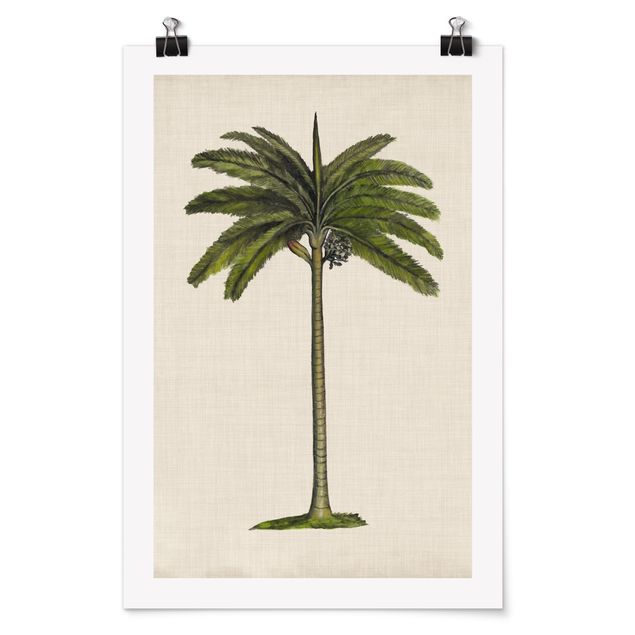 Zielony obraz Brytyjskie palmy IV