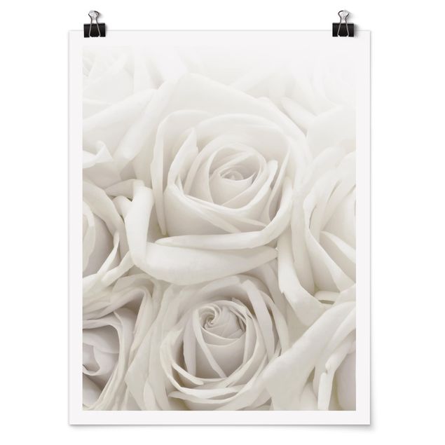 Obrazy z motywem kwiatowym Białe róże