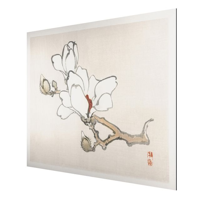 Obrazy vintage Rysunki azjatyckie Vintage Magnolia biała