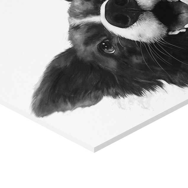 Laura Graves Art obrazy Ilustracja pies Border Collie czarno-biały malarstwo