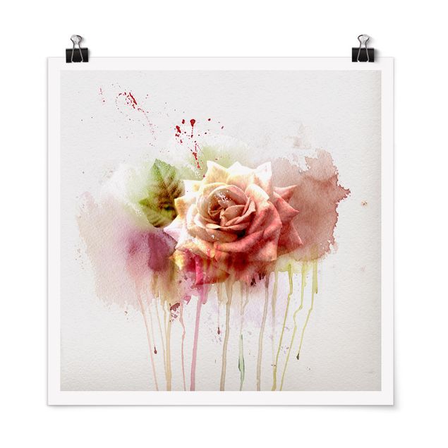 Obrazy nowoczesny Akwarela Róża