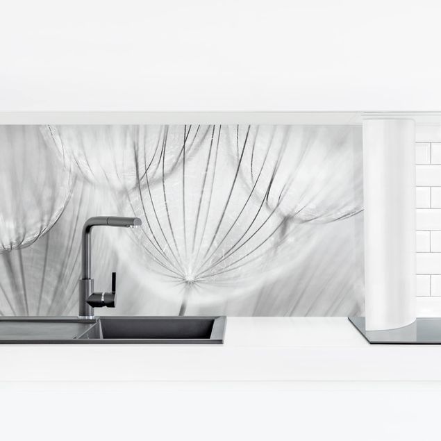 Panel ścienny do kuchni - Zdjęcie makro mniszka lekarskiego w czerni i bieli