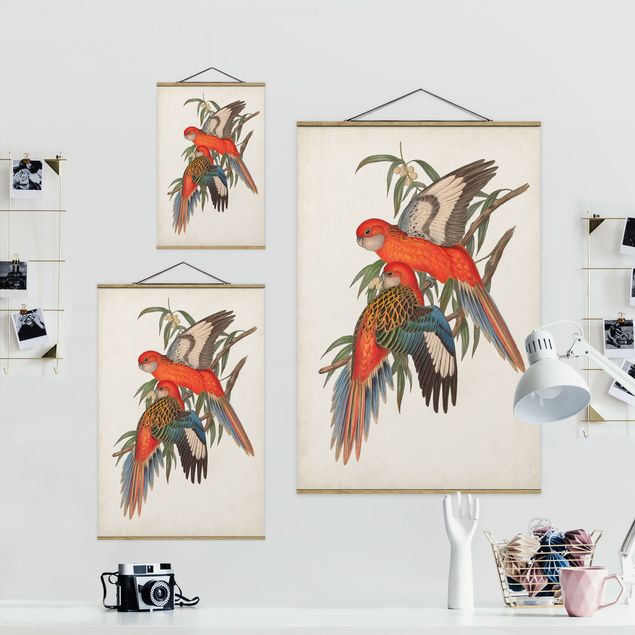 Obrazy motywy kwiatowe Papugi tropikalne I