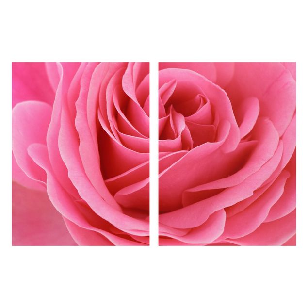 Obrazy z motywem kwiatowym Różowa róża pełna wdzięku