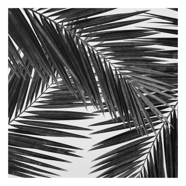 Panel szklany do kuchni - Widok na liście palmy, czarno-biały