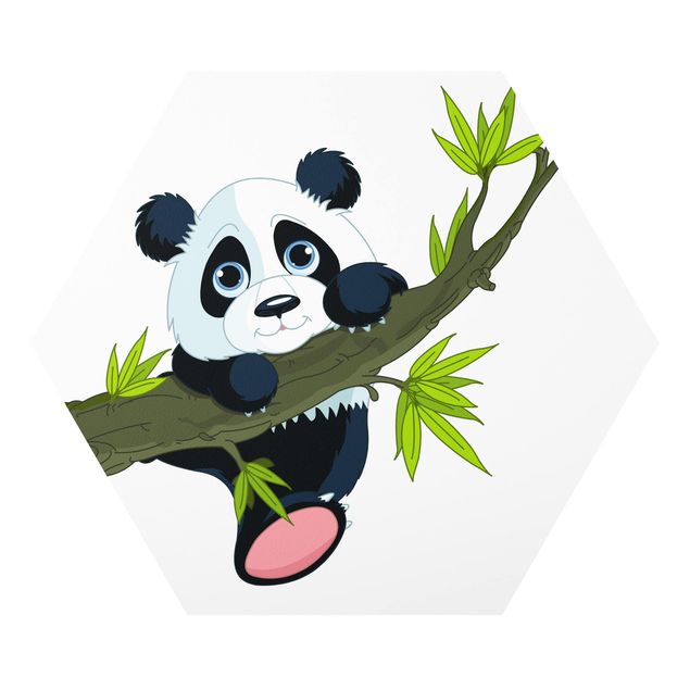 Zwierzęta obrazy Panda wspinająca się