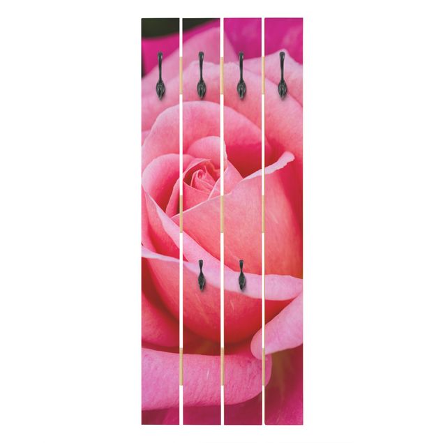 Wieszak ścienny - Kwiat różowej róży na tle zieleni