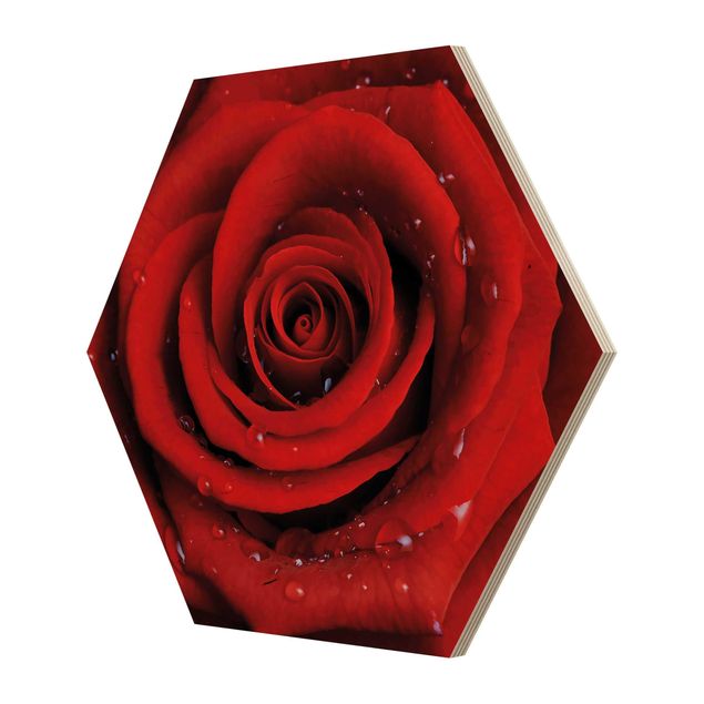 Obraz heksagonalny z drewna - Róża czerwona z kroplami wody