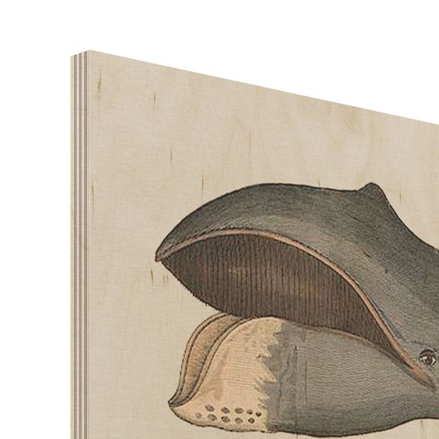 Obraz z drewna - Pięć wieloryby w stylu vintage