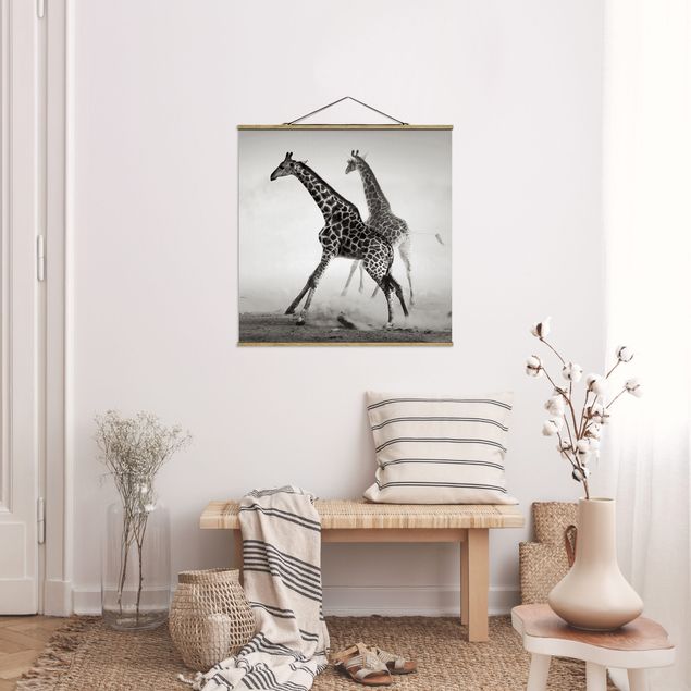 Obrazy do salonu Polowanie na żyrafę