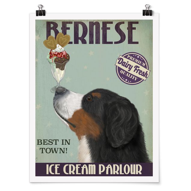 Obrazy ze zwierzętami Bernese Mountain Dog z lodami