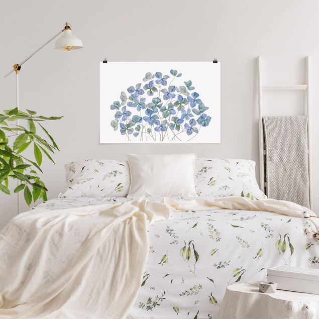 Obrazy nowoczesny Błękitne kwiaty hortensji