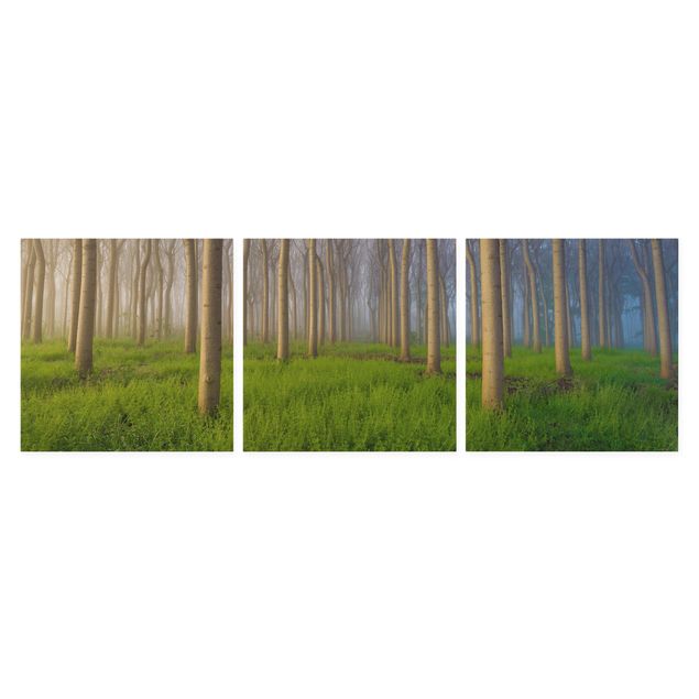 Obraz brązowy Poranek w lesie