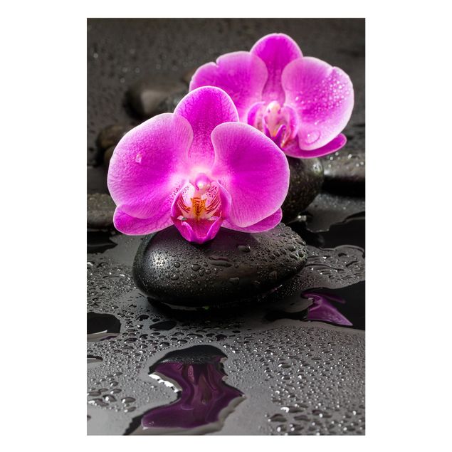 Dekoracja do kuchni Kwiaty różowej orchidei na kamieniach z kroplami