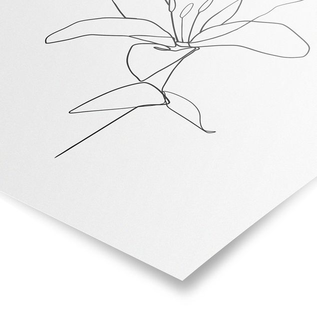 Obrazy kwiatowe Linia Art Blossom czarno-biały