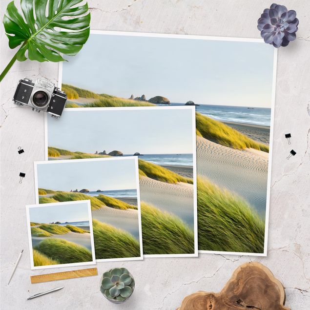 Obraz morze plaża Wydmy i trawy nad morzem