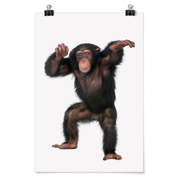 Obrazy nowoczesne Zadowolona małpa