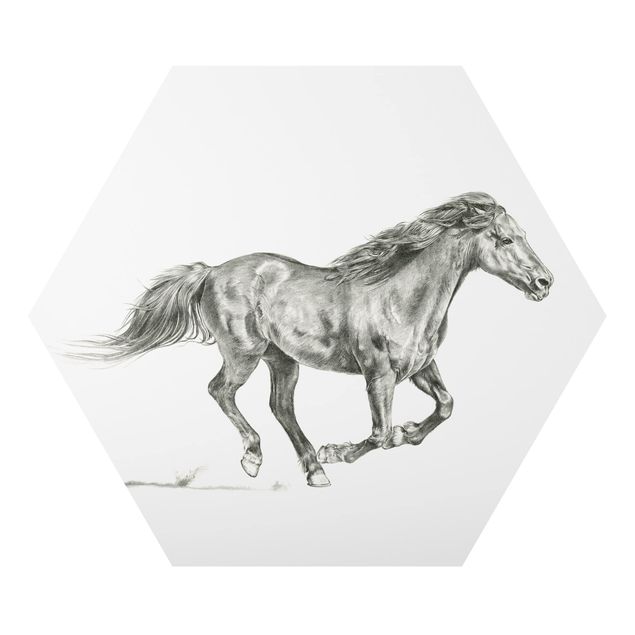 Obrazy zwierzęta Badanie dzikich koni - klacz