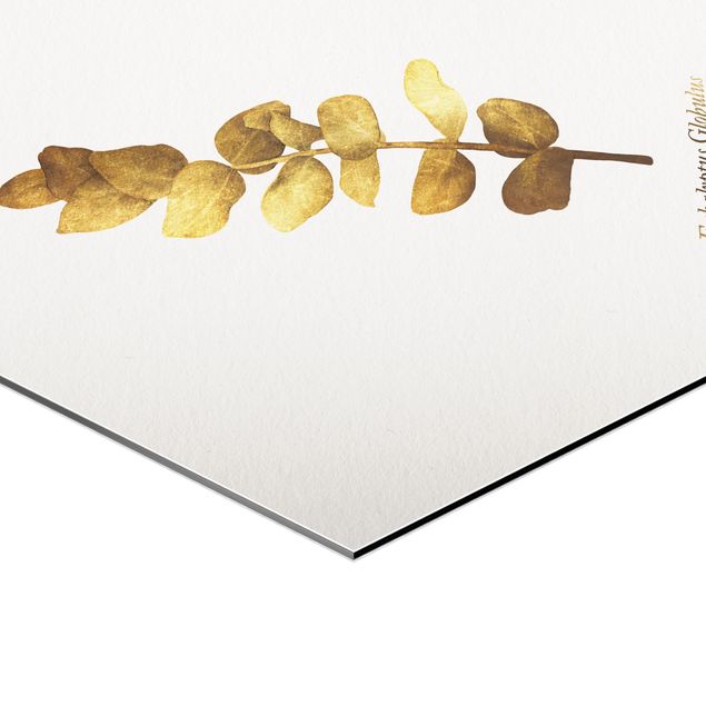 Obraz heksagonalny z Alu-Dibond - Złoto - Eukaliptus