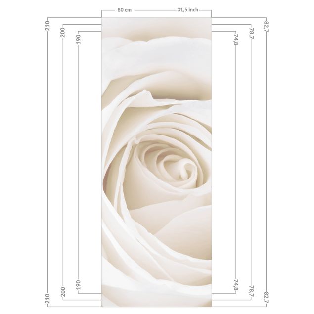 Tylna ścianka prysznicowa - Pretty White Rose