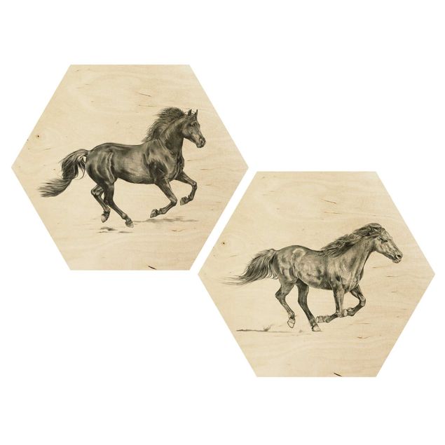 Obraz heksagonalny z drewna 2-częściowy - Zestaw do badania dzikich koni I