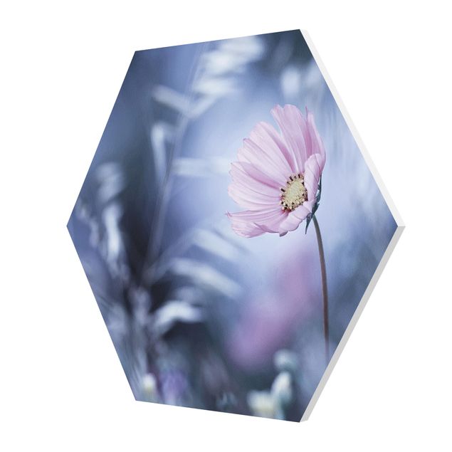Obraz heksagonalny Kwiat w pastelach