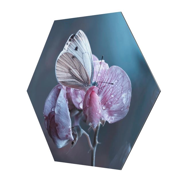 Obrazy z motywem kwiatowym Motyl w deszczu