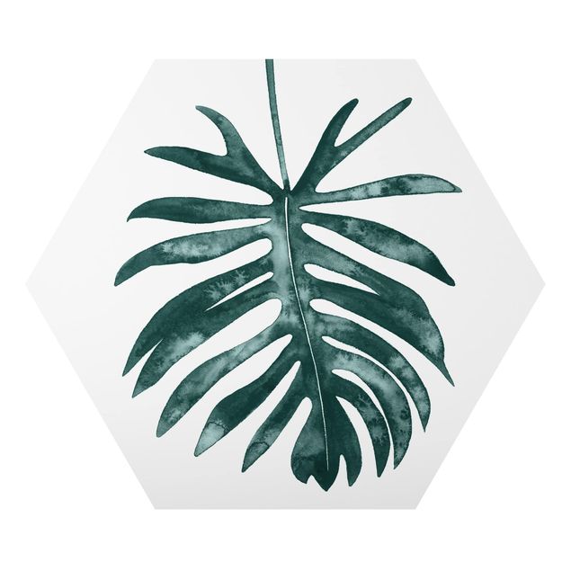 Obraz heksagonalny z Alu-Dibond - Smaragd zielony Philodendron Angustisectum