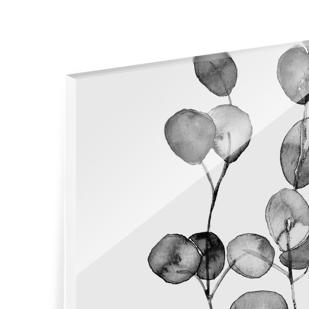 Panel szklany do kuchni - czarno-biały Akwarela gałązka eukaliptusa