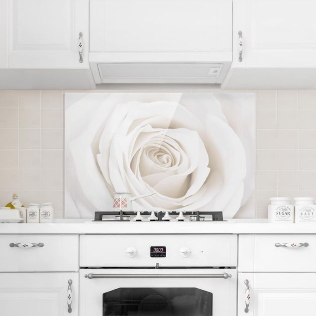 Panele szklane do kuchni Piękna biała róża