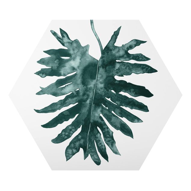 Obraz heksagonalny z Alu-Dibond - Smaragd zielony Philodendron Bipinnatifidum