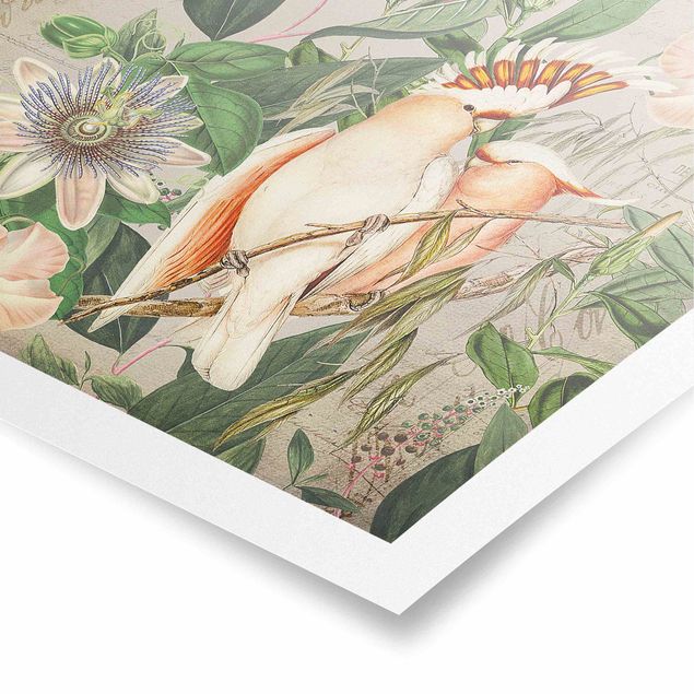 Obrazy retro Kolaże w stylu kolonialnym - Różowy kakadu