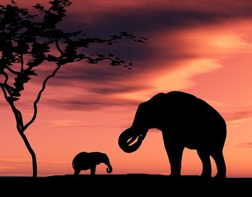 Szafka pod umywalkę - Rodzina słoni afrykańskich